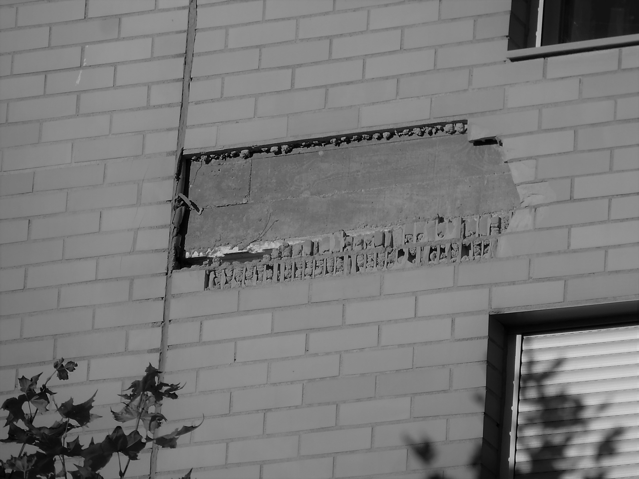 Periodo de garantías marcados por la Ley 38/1999, “LOE” para la reclamación de daños en la construcción.
